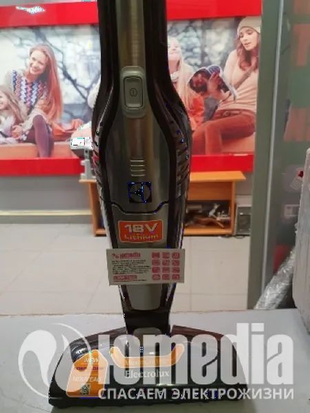 Ремонт пылесоса Electrolux ERG011
