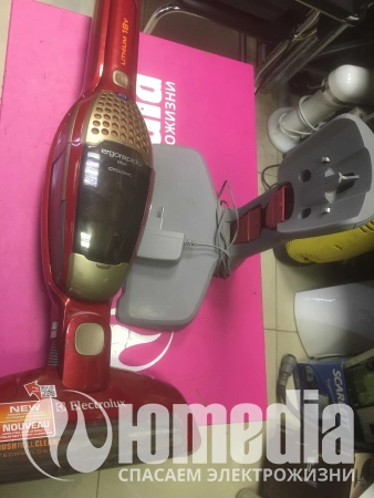 Пылесос (премиум) Electrolux ZB2943