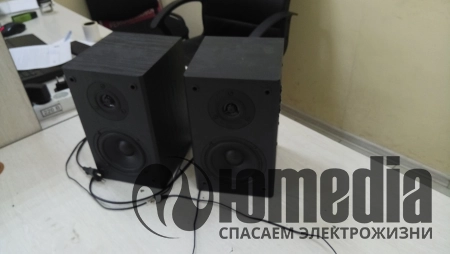 Ремонт акустических систем 2.0 DEXP