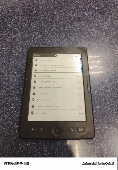 Ремонт электронных книг DEXP L3.1 Moon