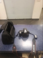 Sony Slt-a55v